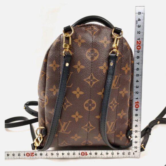 Mini Palm Springs Louis Vuitton Backpack - Picture 2 of 14